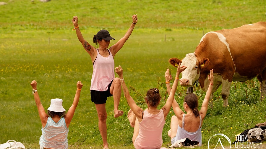 Geschichte: Yoga Festival begeistert über 90 Teilnehmende